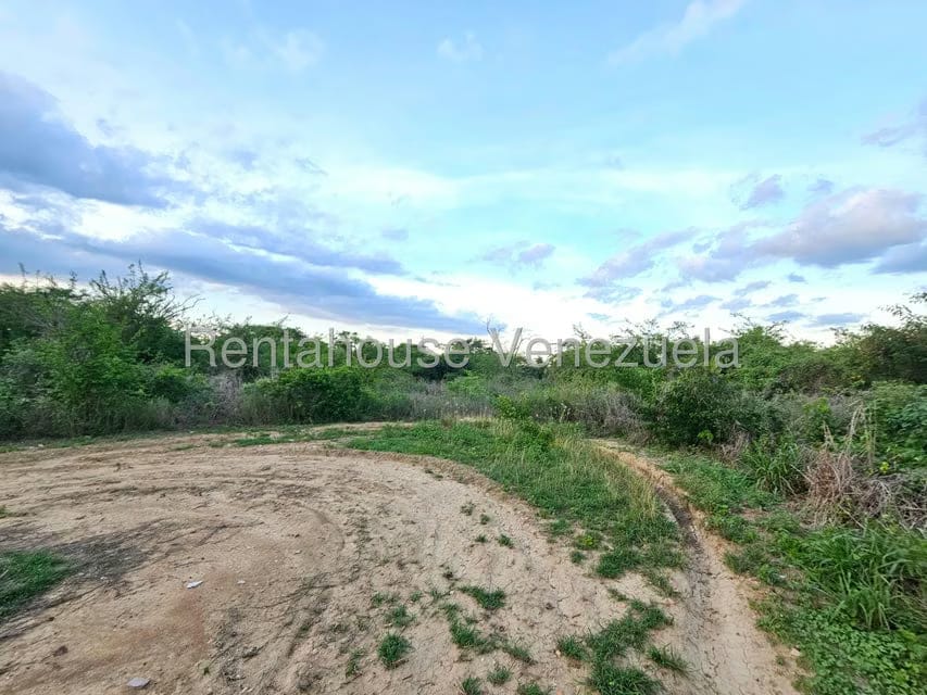 Terreno (Comercial) en Venta en Ave Intercomunal, Lara - 11