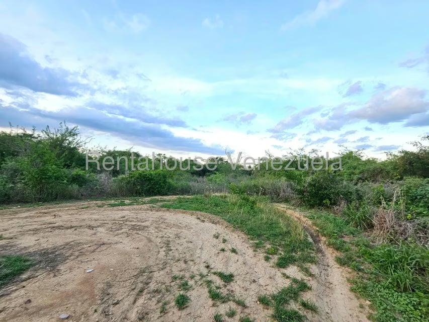 Terreno (Comercial) en Venta en Ave Intercomunal, Lara - 11