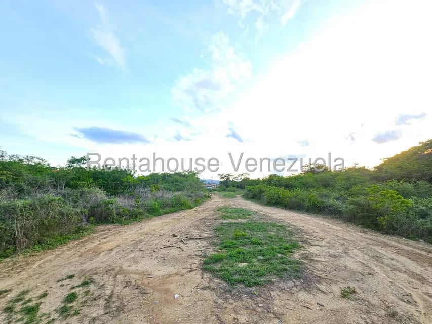 Terreno (Comercial) en Venta en Ave Intercomunal, Lara - 12