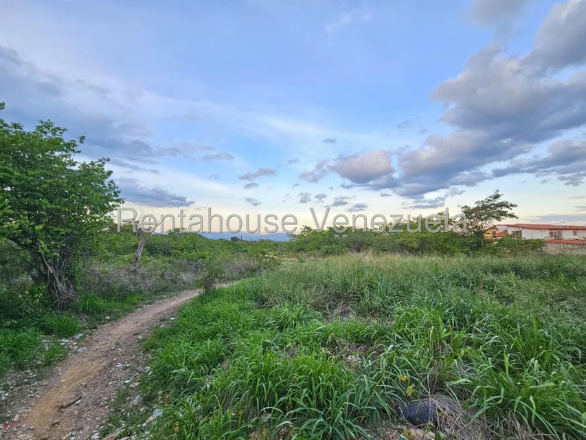 Terreno (Comercial) en Venta en Ave Intercomunal, Lara - 15