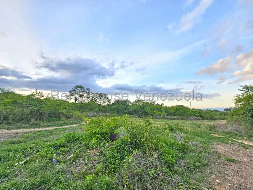 Terreno (Comercial) en Venta en Ave Intercomunal, Lara - 7
