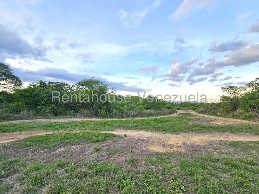 Terreno (Comercial) en Venta en Ave Intercomunal, Lara - 8