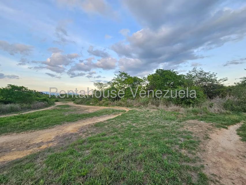 Terreno (Comercial) en Venta en Ave Intercomunal, Lara - 9