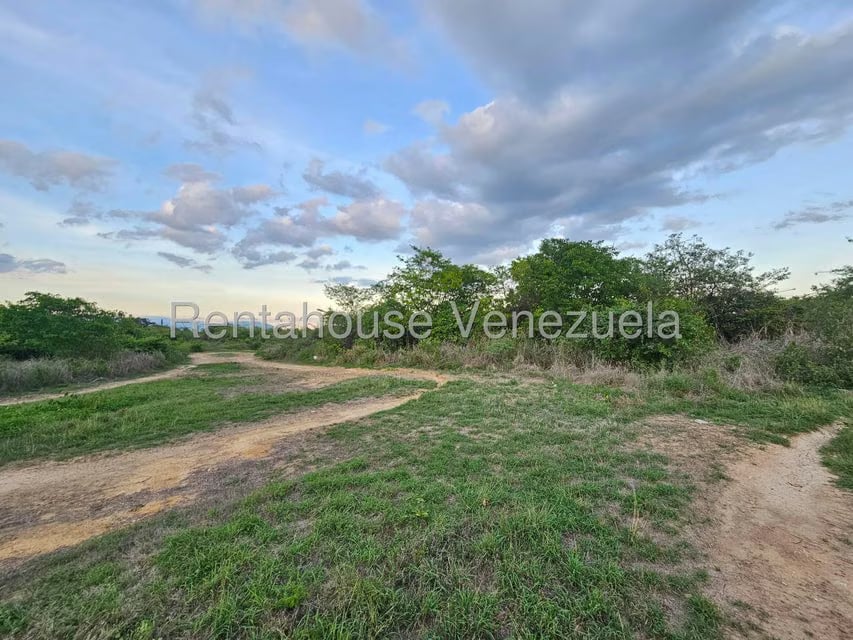 Terreno (Comercial) en Venta en Ave Intercomunal, Lara - 9