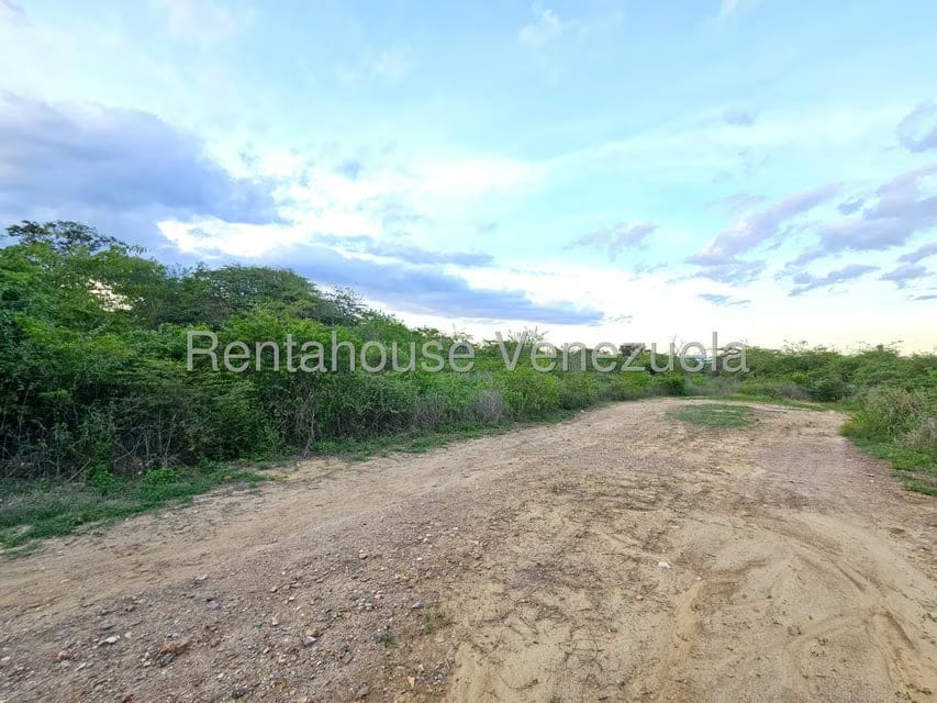 Terreno (Comercial) en Venta en Ave Intercomunal, Lara - 10