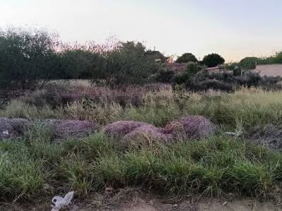 Gran Oportunidad!, Venta de Terreno - 6